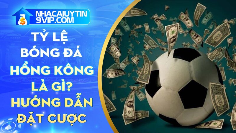 Tỷ lệ cược Hồng Kông là gì? Hướng dẫn và kinh nghiệm chơi cực hay