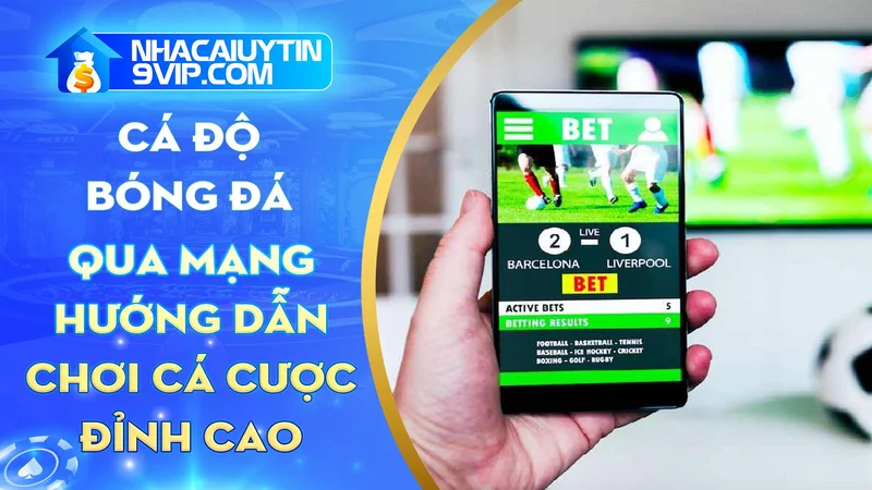 Cá độ bóng đá qua mạng: Hướng dẫn chơi để trải nghiệm đỉnh cao trên mạng