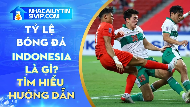 Tỷ lệ bóng đá Indo là gì? Tìm hiểu đặc điểm tỷ lệ bóng đá Indo thường thấy nhất