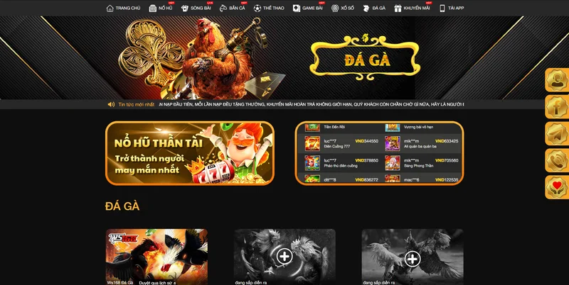 sảnh đá gà i9bet